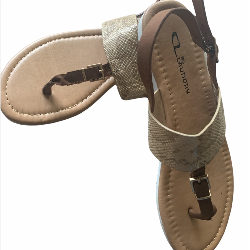 Snake with buckle thong